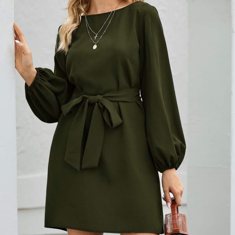 Blue long lantern sleeve  belted dress - Picture 8 of 16